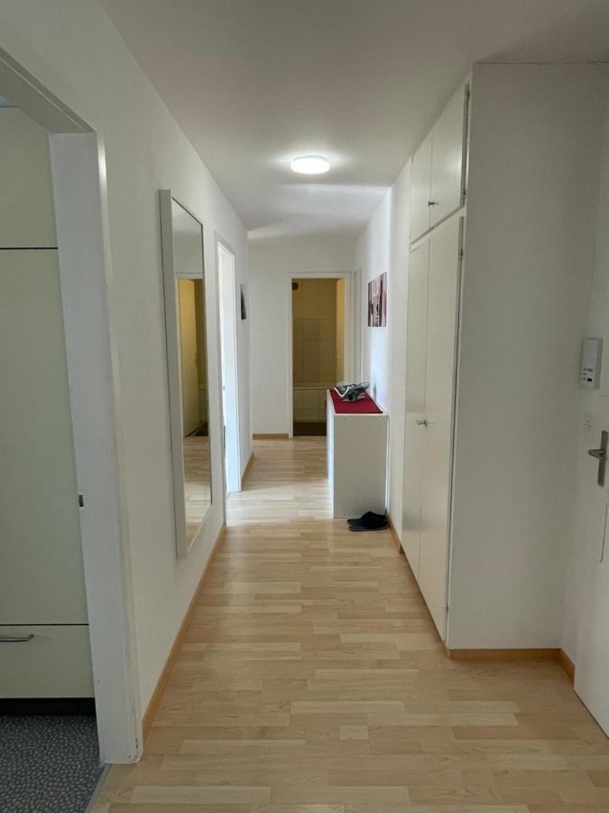 3 Zimmer Apartment mit Balkon Wynau Exterior foto
